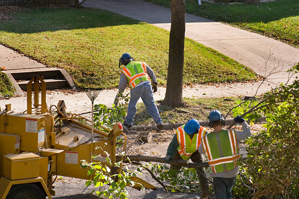 Best Firewood Processing and Delivery  in Prunedale, CA